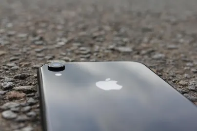 Jungle Raja Casino Mobile App